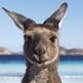 Tourism Australia profile picture