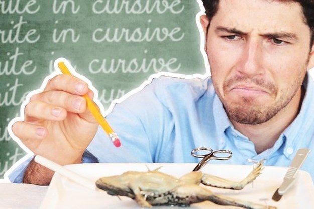 Things You Do In School That Are Useless In Adult Life