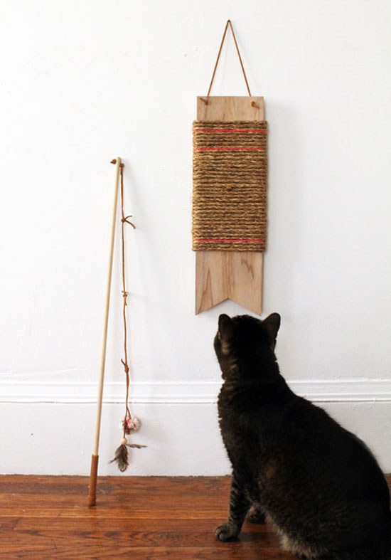 Unsure of what voodoo magic brought these strange materials to his home, this cat contemplates the merits of scratching it anyways,