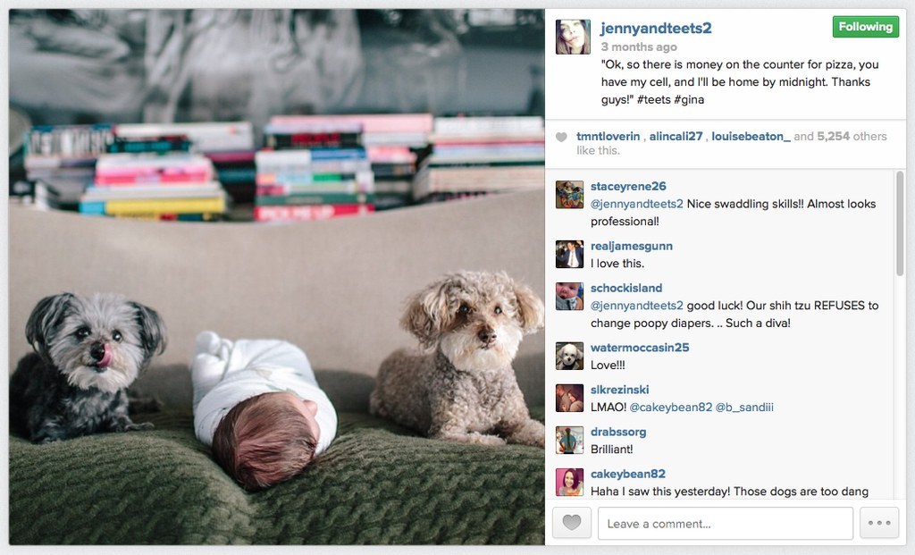 Oh, and she's married to Jason Biggs, of American Pie fame.