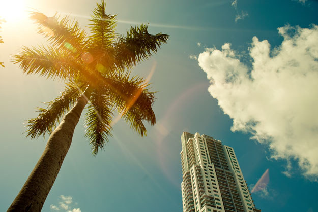 YOU SHOULD MOVE TO MIAMI!