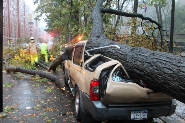 One of the biggest jobs after Hurricane Sandy was clearing away fallen trees and replanting new ones. For New York's parks and rec department, restoring the city's urban forests was made easier with ArcGIS mapping software. With intelligent maps the city could survey the impact of saltwater flooding and even decide where to prune trees to prevent future hazards. Take that, Sandy!