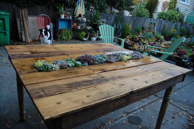 Because you can never have too many succulents. Tutorial here.
