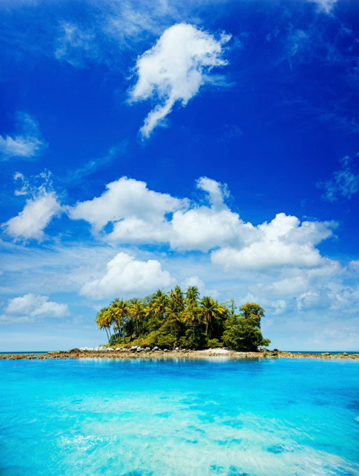 Own an island