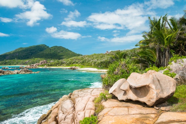 The Indian Ocean