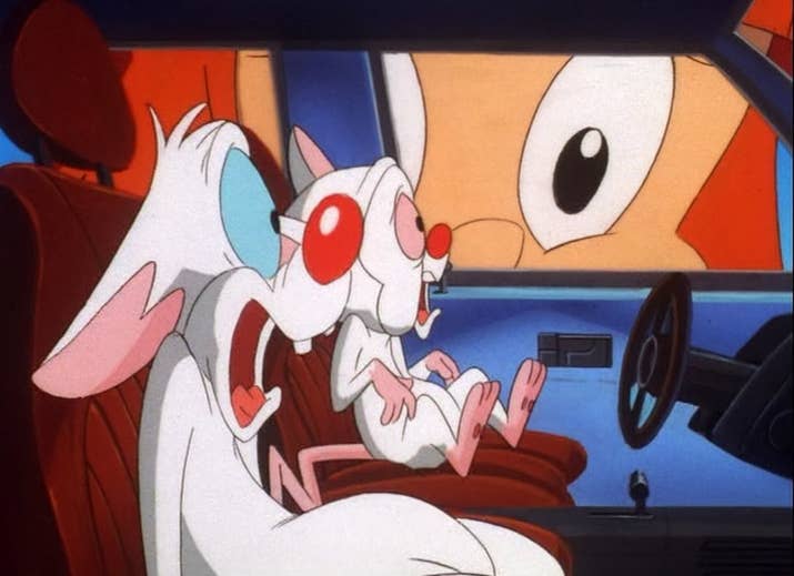 O equilÃ­brio da dupla de ratos ameaÃ§ado por uma menininha.