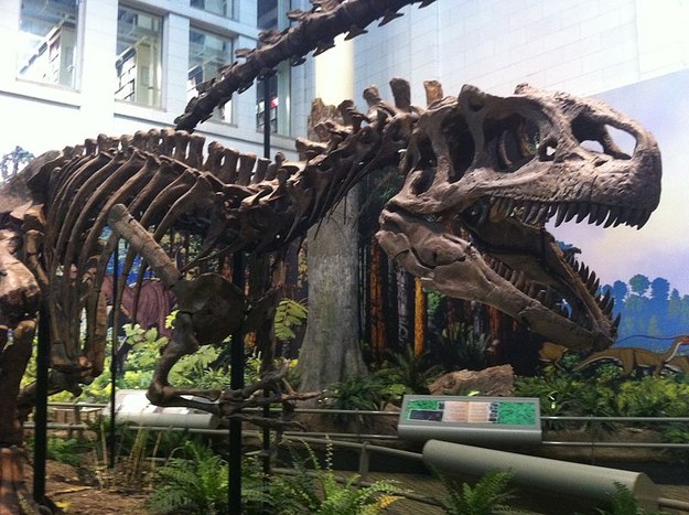Natural History Museum