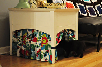 Creative ways to hide cat litter box sale