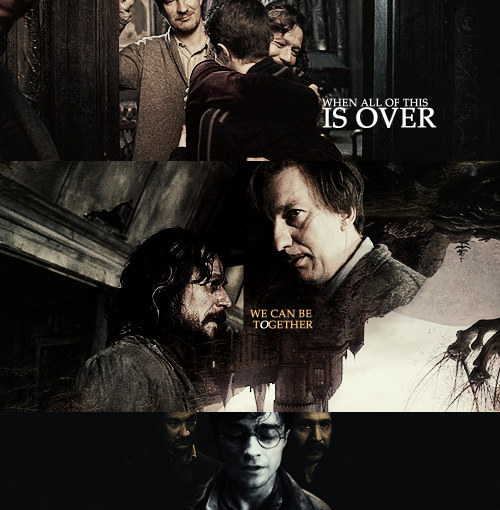 harry potter tumblr edits