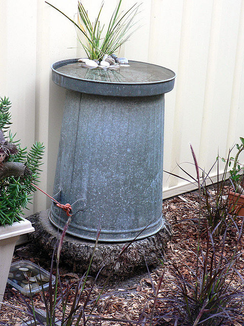 Provide a fresh water source like a bird bath, pond, or fountain. Refresh your standing water once a week to eliminate mosquito larvae. When it doubt, dump it out!