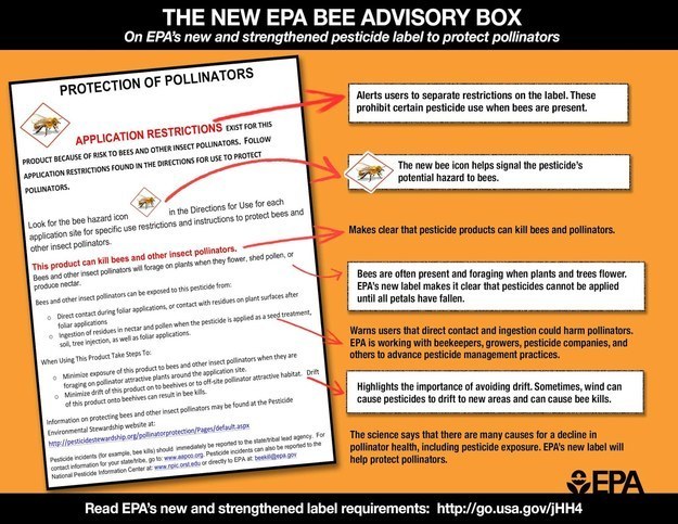 Don't buy plants treated with neonicotinoids or insecticides. Many plant pests cause only temporary, aesthetic problems that can be managed or tolerated. The US EPA has developed new pesticide labels that help you understand how to apply pesticides and help protect bees.