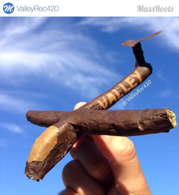 11 Joints And Blunts That Will Blow Your Mind