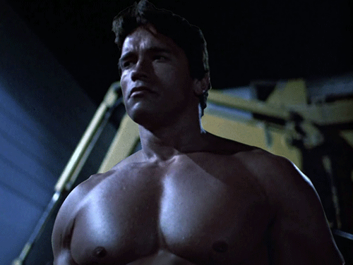 Arnold Schwarzenegger Dylan GIFs