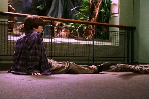In the movie, the glass vanished, Dudley fell inside and got trapped like a total git. In the book, he lept backwards and the snake slithered away like a boss.