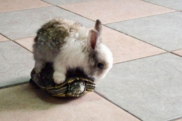 I can't wait for you to get your hopping license!