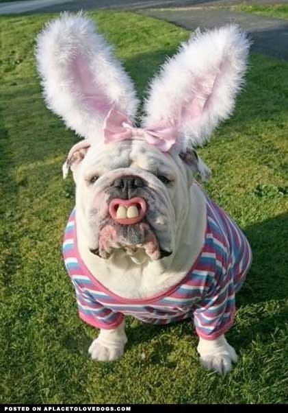 I won the Easter egg hunt.