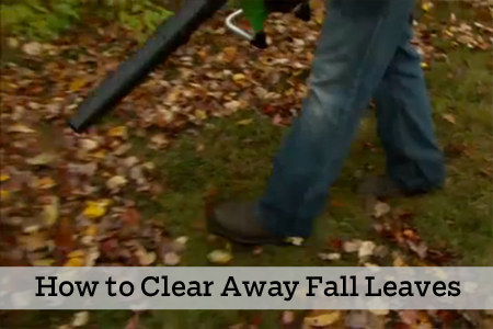 Roger knows how to get rid of all the pesky fall leaves