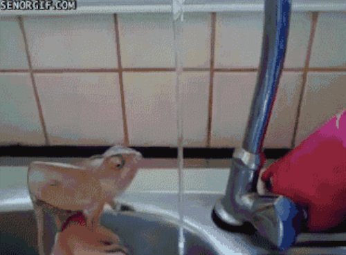 You can also buy a nifty faucet extender.