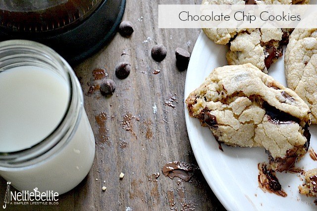 Not only are these chocolate chip cookies...they're giant and dense and super delicious. Hello, love handles!