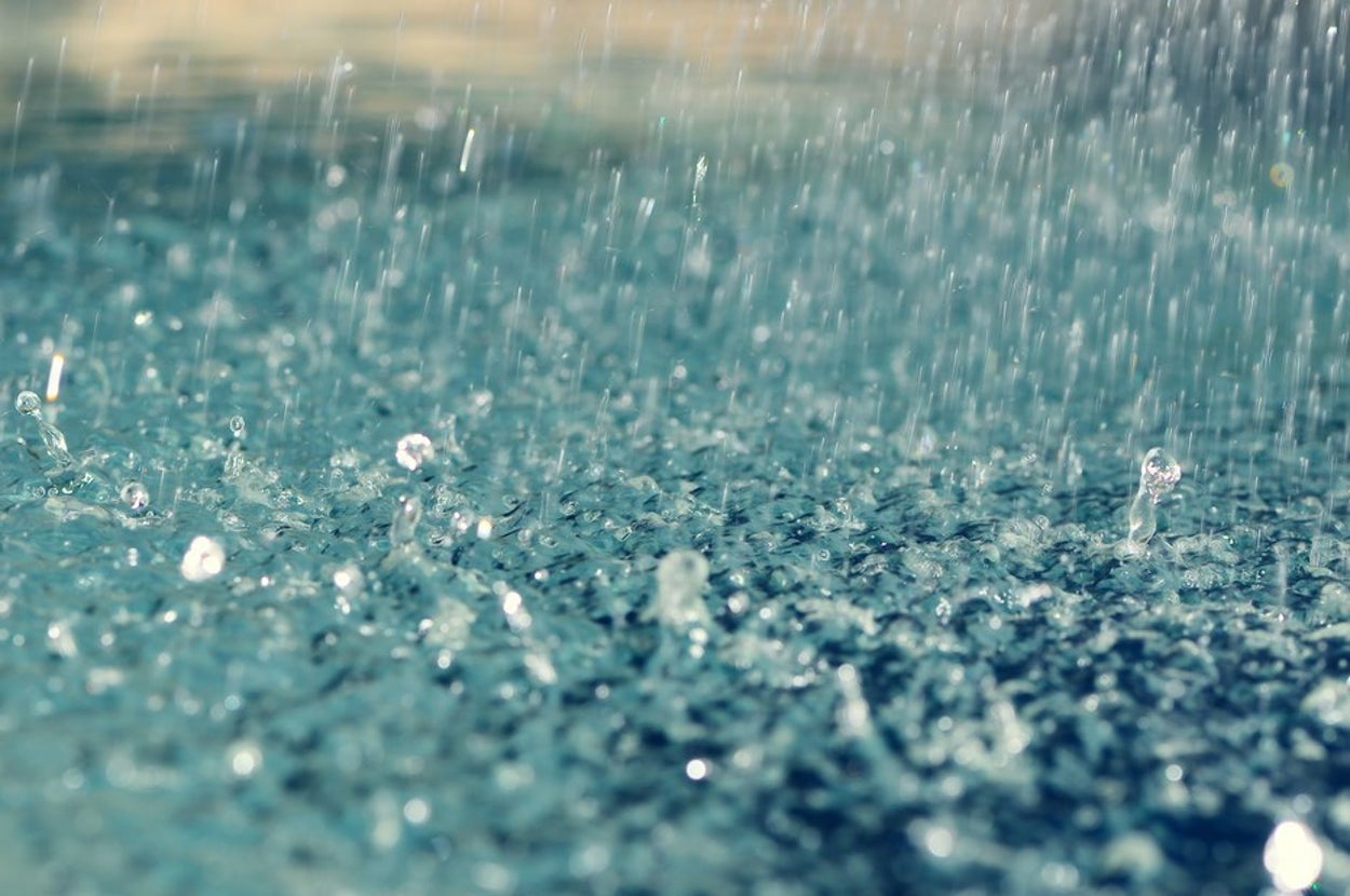 Rainsnets Where Should You Bless The Rains?