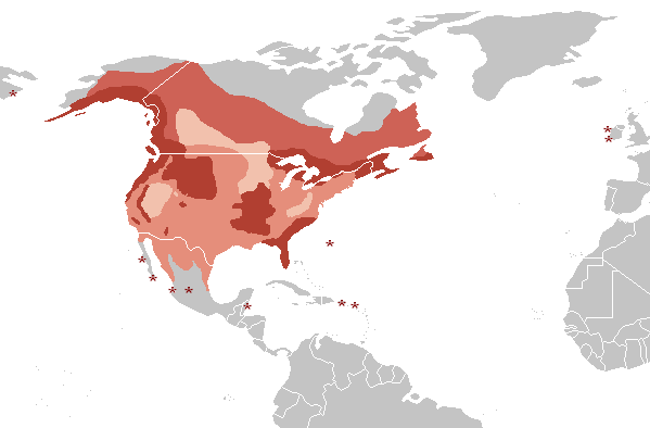 7 Indisputable Reasons the United States of America Is the Greatest Country  in the World