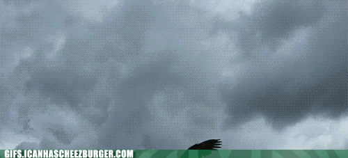 The eagle defends America's name by ripping the enemy's face off with its talons. What do you do to defend your country's name, you talon-less being?
