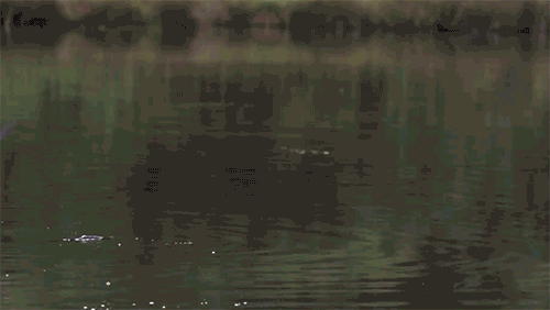 "Nature wasn't eating that fish, was it? No? Didn't think so..."