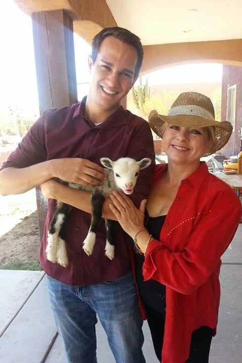 Meet Butterfly The Geep An Extremely Rare Goat Sheep Hybrid Born In Arizona 