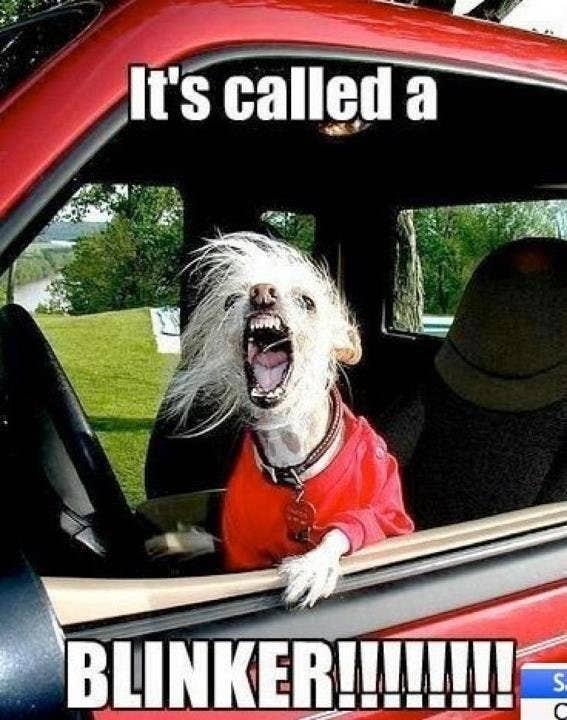 This is a question you should ask yourself every time a car is trying to get in front of you.-If the answer is yes, then come on over pal and thank you for using proper road etiquette.-If no, then don’t let them over. It takes a half a second to put on your blinker, so do it or stay in your own lane!