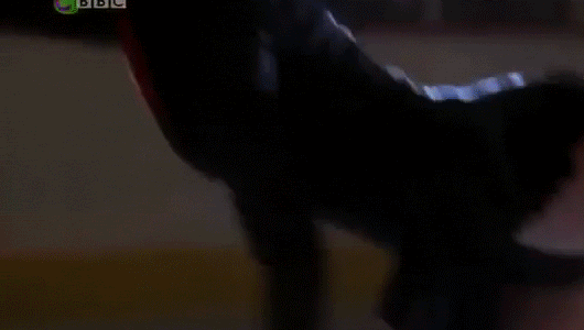 Like when Louis imagines this figure skating mishap.