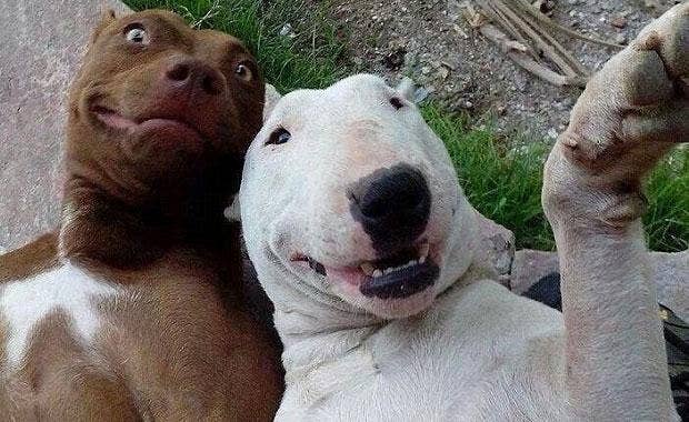 His face was stuck like that for a week.