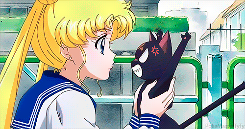 She's clearly never owned a cat before.