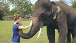 (Quadruple cuteness points because elephants are my fave animal.)