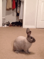 "HELLO!"