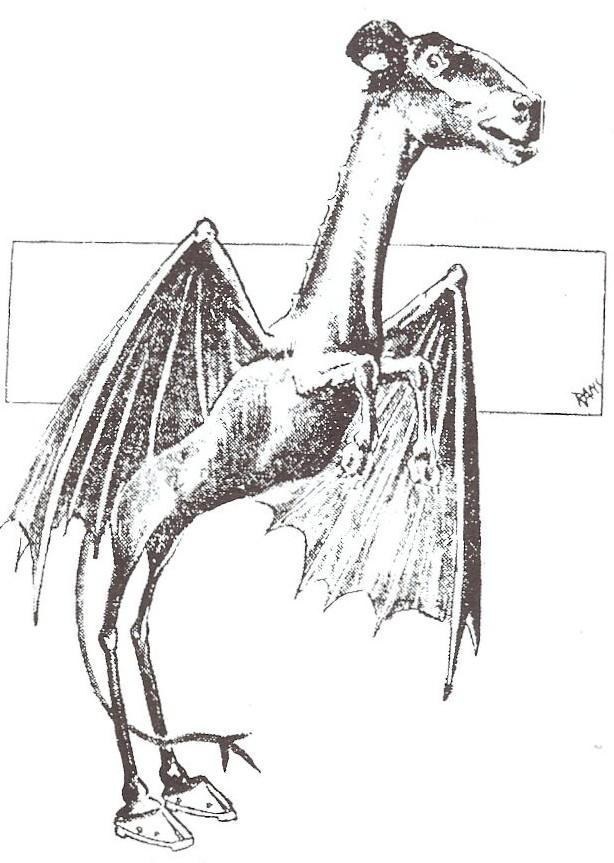Why It’s #12: Supposedly the child of a witch and Satan, the elusive Jersey Devil has been a blight on the Garden State since 1735. Other than at hockey games, it appears very rarely (and has been banished for a century at a time), and the last actual attack on people took place in 1909.