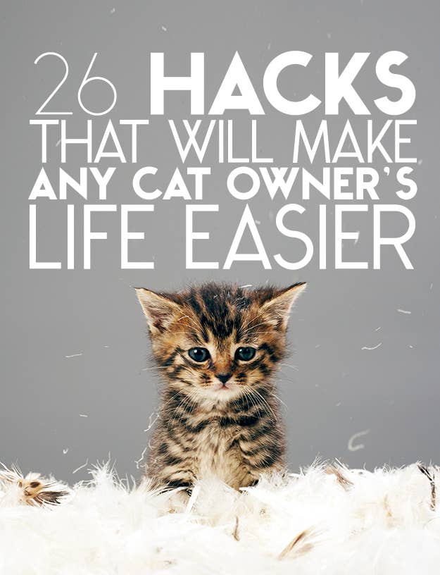 26 Hacks That Will Make Any Cat Owner S Life Easier