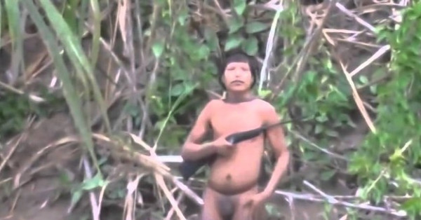 Amazon Forest Xxx Video - Incredible Video Shows Isolated Amazon Tribe Making Contact With Outside  World