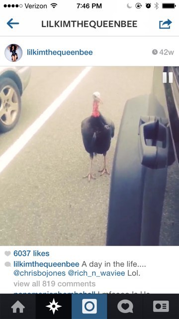 In case you were wondering, Lil' Kim is not above filming a stray turkey run through traffic.