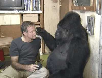 anigif_enhanced-8119-1407862007-2.gif