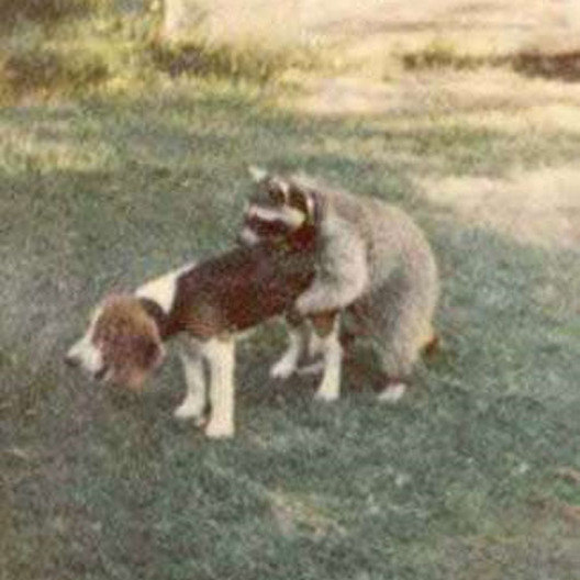 and really wishes this photo was never taken.
