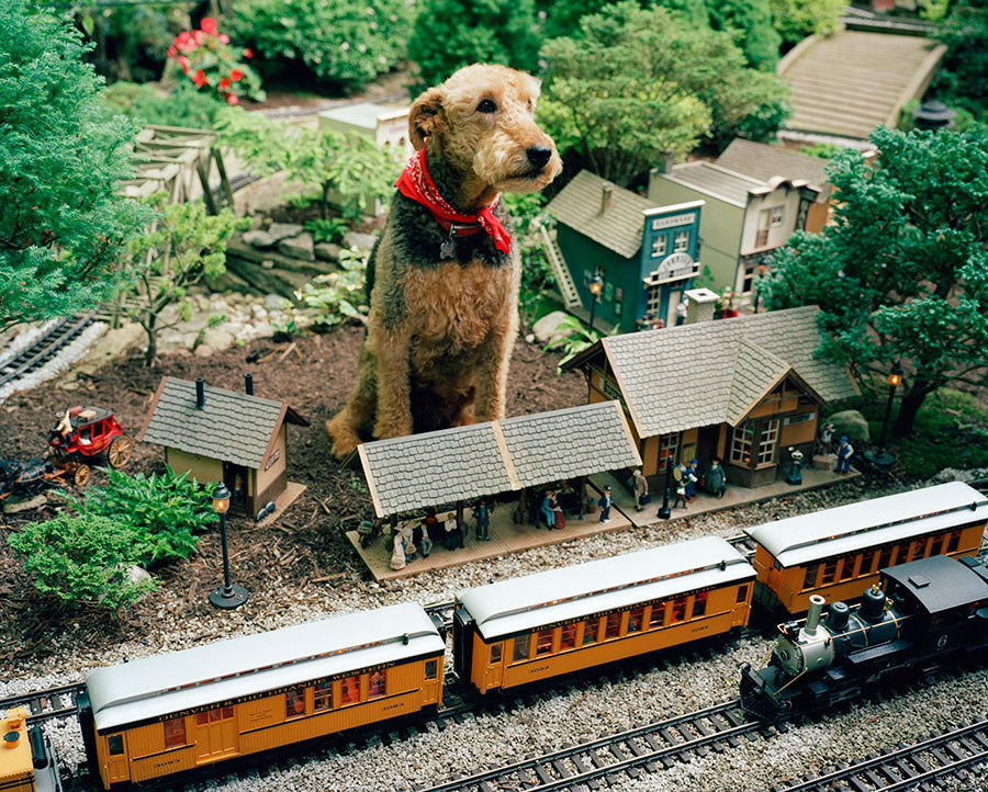 Jim Thorpe, PennsylvaniaThis state park has awesome rivers, mountains, streams, and your dog is allowed to ride their train adventure free of charge!