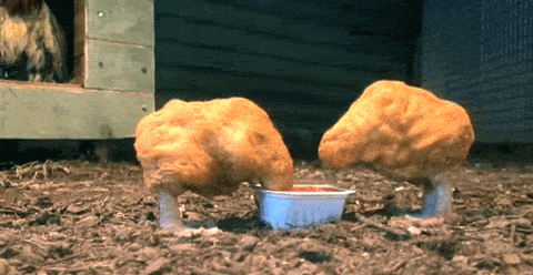 Cette question est insultante. Les nuggets ont été créés par Dieu.