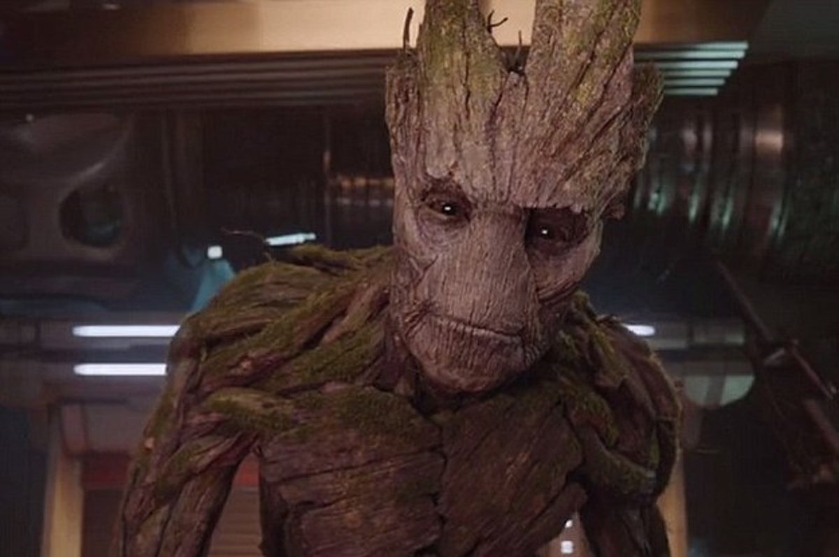 Pour Toutes Celles Et Ceux Qui Sont Tombe E S Sous Le Charme De Groot