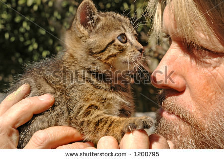 "A man holds his new kitten close" because woodsmen need affection, too.