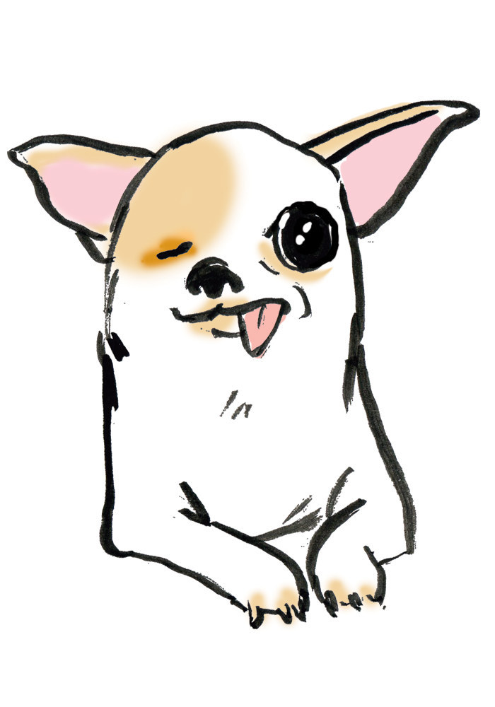 She's also basically a 90's cartoon character.She's like the 'Brain' to Tuna's 'Pinky'insta
