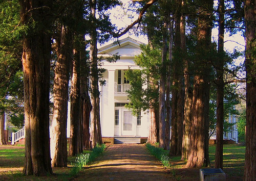 Oxford was the setting of Faulkner's life, and also of his literature. Visit his home at Rowan Oak, take a swig of bourbon and leave the bottle at his grave (a common tribute), and see the mansion that inspired the Compson estate in The Sound and The Fury.