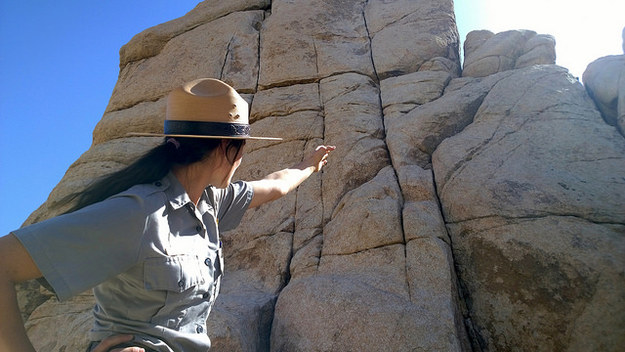 You are a regular Park Ranger.
