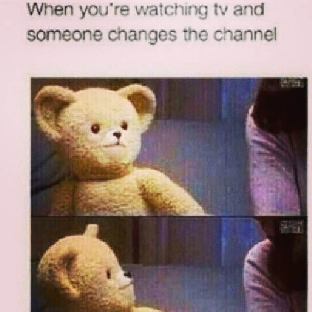 Top 15 Snuggle Bear Memes