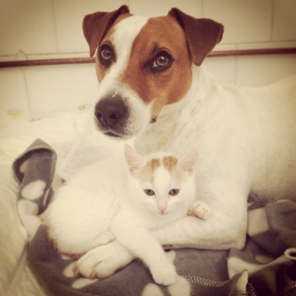 'What?'