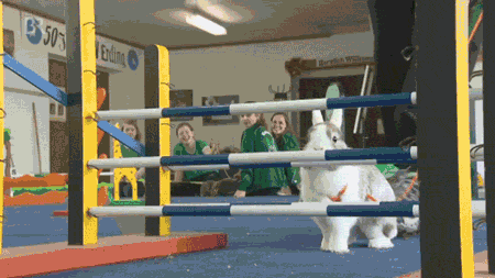 Even the best training can't stop fate.